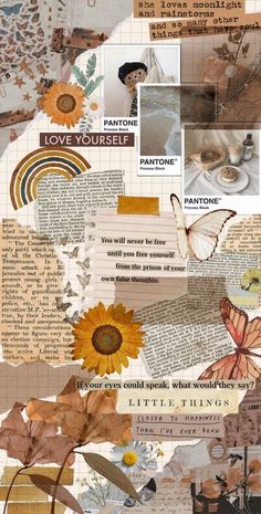 a collage of photos with flowers, butterflies and other things in the middle of it