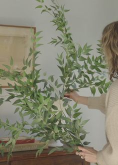 a woman standing next to a wooden dresser holding a green plant in it's hands