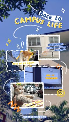 the back to campus life poster shows cats in front of an apartment building and trees