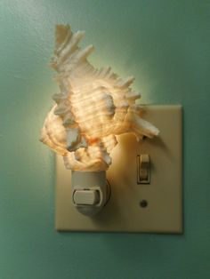 a light switch with a sea shell on it