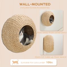 a cat is sitting in the wall - mounted scratching mat with instructions to install it