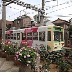 a train that is sitting on the tracks next to some flowers and potted plants