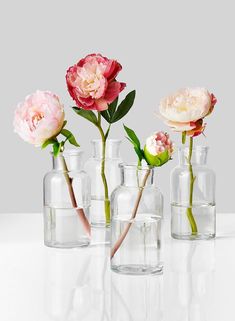 several vases with flowers in them sitting on a white counter top and one is filled with water