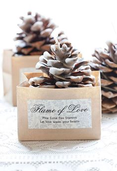 two small pine cones sitting on top of a table next to each other, one with a label that says flame of love