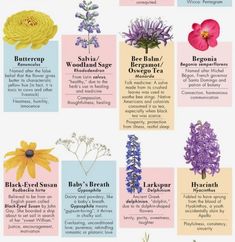 the different types of flowers and their names