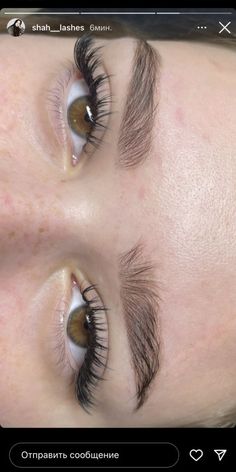 Eye Makeup Images, Makeup Recipes, Natural Eyelash Extensions, Eyelash Extentions