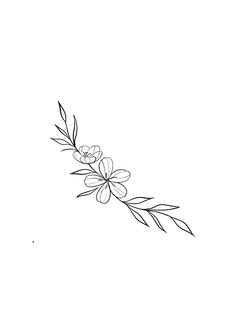 a line drawing of flowers on a white background