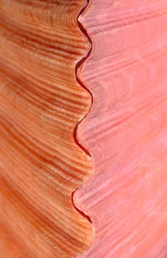 a close up view of the wood grains on a piece of furniture that is pink