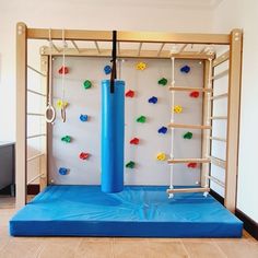 an indoor gym with climbing ropes and balls on the wall