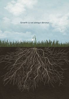 an image of a plant with roots growing out of it and the words growth is not always obvious