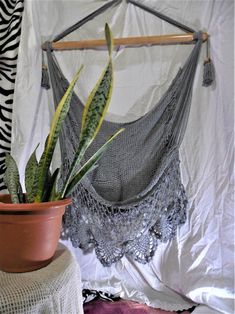 a potted plant sitting on top of a table next to a hanging hammock