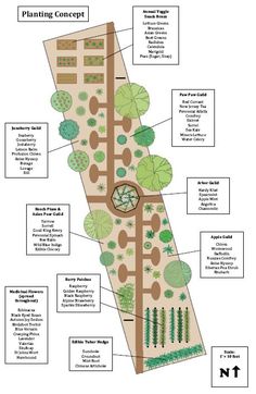 an overview of the garden design and its surrounding features, including trees, shrubs, bushes, and flowers