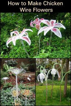 four different pictures of flowers with the words how to make chicken wire flowers