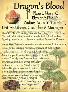 Tarot Significado, Magickal Herbs, Magic Spell Book, Grimoire Book, Magic Herbs, Wiccan Spell Book