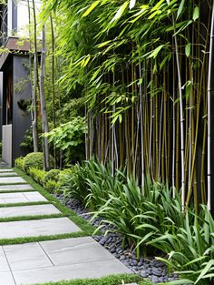 53 Bamboo Garden Ideas That Will Inspire You Bamboo Front Yard, Bamboo Trees Landscaping, Bamboo Courtyard Garden, Tall Plants Outdoor Privacy Fences, Outdoor Fencing Ideas, Garden Bamboo Ideas, Bamboo Landscape Ideas, Bamboo In Garden, Tall Garden Fence