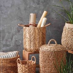 woven baskets with handles and handles are arranged in front of a concrete wall, next to plants