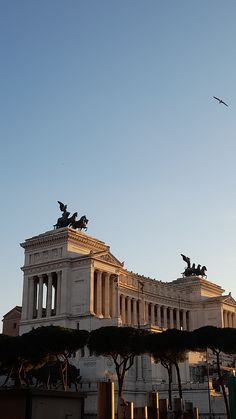 birds flying over the top of an old building with statues on it's roof