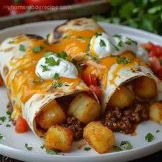 two burritos on a plate with potatoes and tomatoes