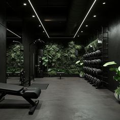 an empty gym with black walls and green plants on the wall, along with exercise equipment