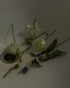 some white flowers are laying on the floor next to a drainer with water in it