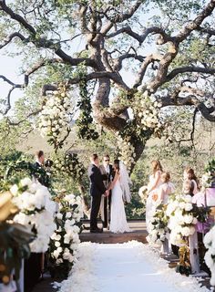 a couple getting married under a large tree