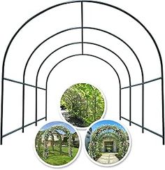 an arch with four pictures of trees in it