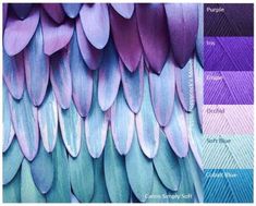 the color scheme for feathers is purple, blue, and green with different colors on them