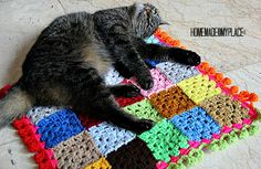 a cat laying on top of a multi colored crocheted blanket