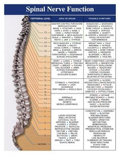 Chiropractic Care, Medical Knowledge