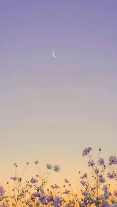 the moon is setting over some purple flowers