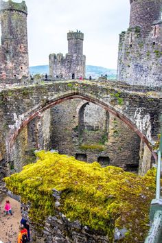 people are walking around an old castle with moss growing on the walls