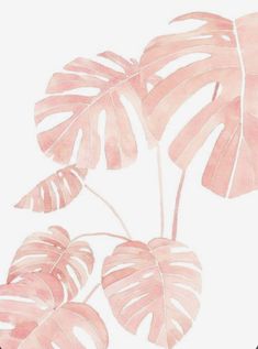 watercolor painting of pink leaves on white background