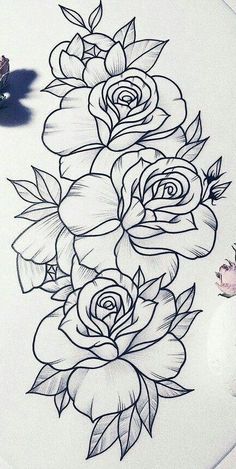 a pencil drawing of roses on paper