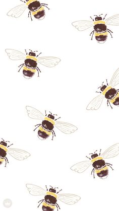 bees with yellow and brown stripes on white background