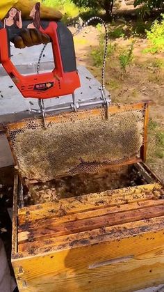 the beehive is full of honeybees and it's attached to a metal frame