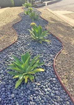 some plants are growing out of the rocks in front of a house on a sunny day