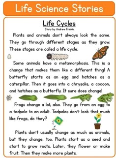 the life cycle worksheet for kids to learn about plants and animals in science