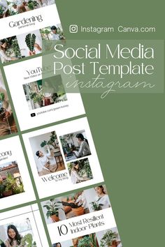 social media post template for instagrams with green and white photoshopped on them