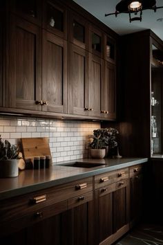 a kitchen with dark wood cabinets and white subway tile backsplash, potted plants on the counter