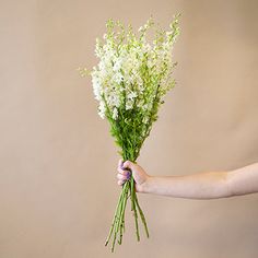 a person holding a bunch of flowers in their hand