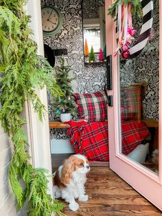 a small dog sitting in front of a mirror next to a bed and christmas tree