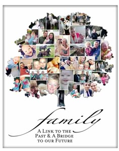 a family tree made up of photos with the words fancy in black and white on it