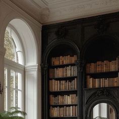 an old library with bookshelves, mirror and potted plant in the corner