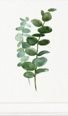 a watercolor painting of a plant with green leaves