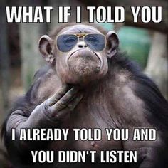 a monkey wearing sunglasses with the caption what if told you? i already told you and you didn't listen