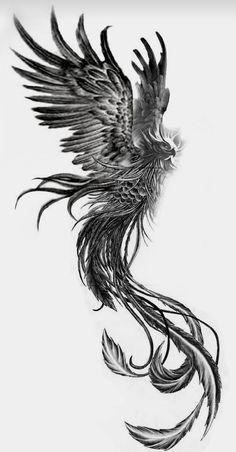 a black and white drawing of a bird with long feathers on it's wings