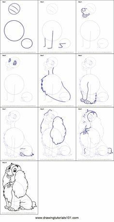 step by step drawing instructions for children to learn how to draw an animal with the help of