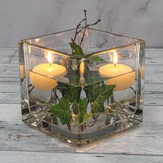 two lit candles in a glass vase with ivy