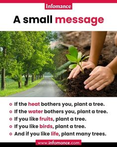 someone holding a plant in their hands with the words, if the heat brothers you plant a tree