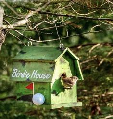 a bird house hanging from a tree branch